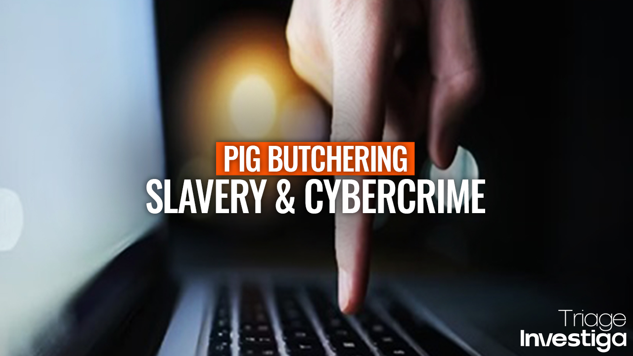 'Pig butchering' fraud: the link between modern slavery, torture and online crime