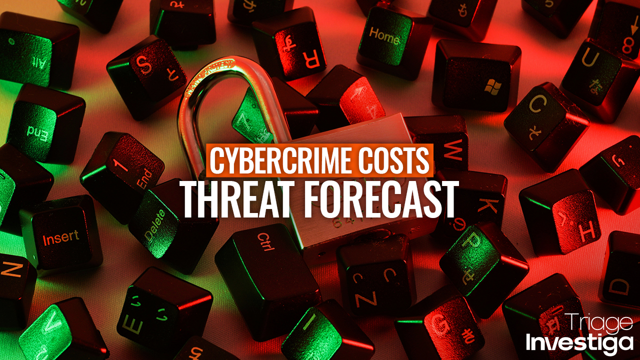 Winter is Coming – The Chilling Costs of Cybercrime in 2024