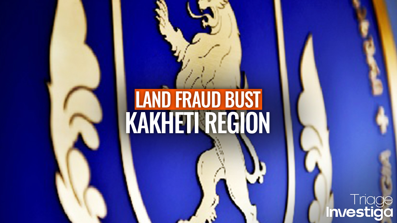 Financial Ministry's Investigation Service Arrests Three for Land Fraud in Kakheti